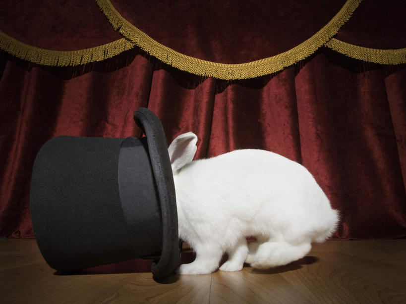 无人,舞台,横图,室内,白天,侧面,哺乳动物,帽子,躲藏,兔子,注视,礼帽,一只,红色,白色,动物,观察,看,趴着,帷幕,观看,兔,察看,隐藏,关注,帷幔,幕布,幕帘,一顶,潜藏,帷幔布,表演台,趴,彩图,全身
