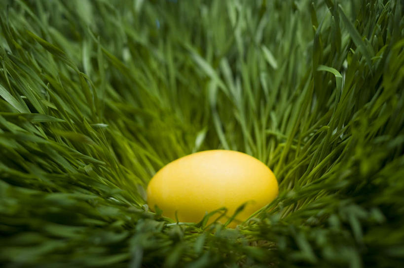 无人,横图,俯视,室外,特写,白天,草地,草坪,植物,复活节,节日,朦胧,模糊,庆祝,蛋,一颗,文化,草,黄色,绿色,庆典,纪念,彩蛋,复活节彩蛋,彩图,高角度拍摄