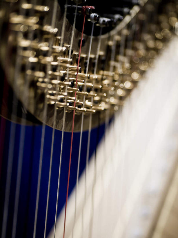 无人,竖图,室内,特写,白天,正面,静物,阴影,蓝色背景,朦胧,模糊,反射,影子,乐器,竖琴,弦乐器,一个,摄影,影棚,单个,弹拨弦鸣乐器,彩图,影棚拍摄,拍摄,弹拨弦乐器