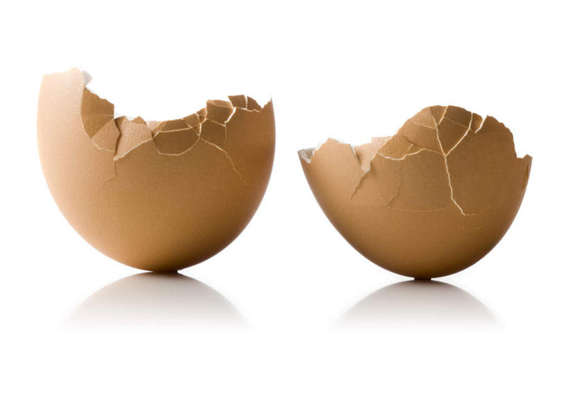 无人,横图,室内,特写,白天,白色背景,正面,阴影,破碎,反射,影子,蛋壳,两个,橙色,摄影,影棚,破裂,摧毁,彩图,影棚拍摄,拍摄