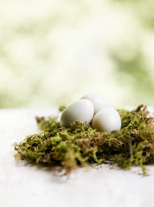 无人,竖图,俯视,室外,特写,白天,草地,草坪,植物,桌面,桌子,朦胧,模糊,木制,蛋,鸡蛋,草,三个,绿色,木制品,卵,彩图,高角度拍摄