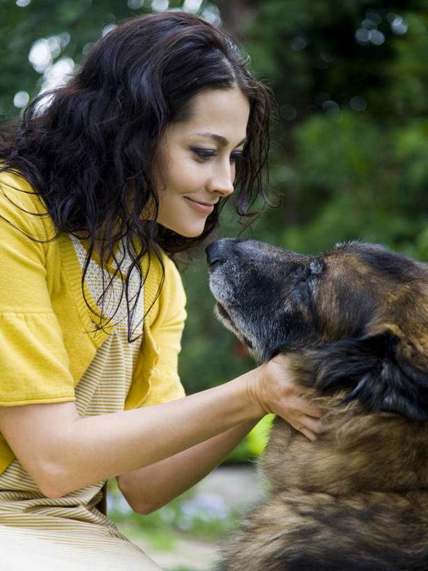 西方人,一个人,坐,笑,摸,微笑,竖图,室外,白天,侧面,植物,宠物,狗,欧洲,欧洲人,仅一个年轻女性,仅一个女性,仅一个人,抚摸,服装,朦胧,模糊,注视,休闲装,树,树木,一只,衣服,黄色,绿色,自然,动物,观察,看,休闲,休闲服,可爱,服饰,生长,牧羊犬,成长,观看,察看,德国牧羊犬,关注,忠诚,德国狼犬,黑背,年轻女性,女人,女性,白种人,犬,触摸,接触,坐着,半身,彩图