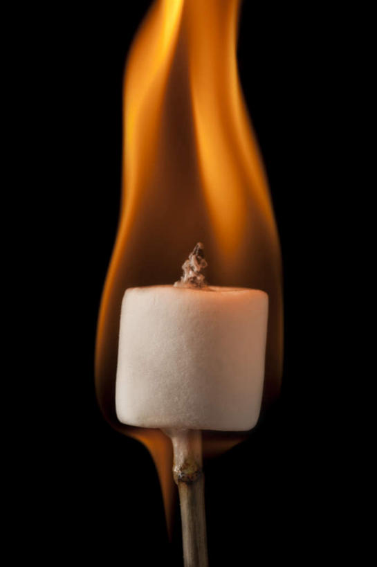 无人,竖图,室内,特写,白天,正面,热情,植物,火,阴影,黑色背景,反射,火焰,影子,草药,药草,燃烧,中药,摄影,影棚,止咳,药材,中草药,药蜀葵,中药材,本草,解毒,利尿,消炎,彩图,影棚拍摄,拍摄,散寒