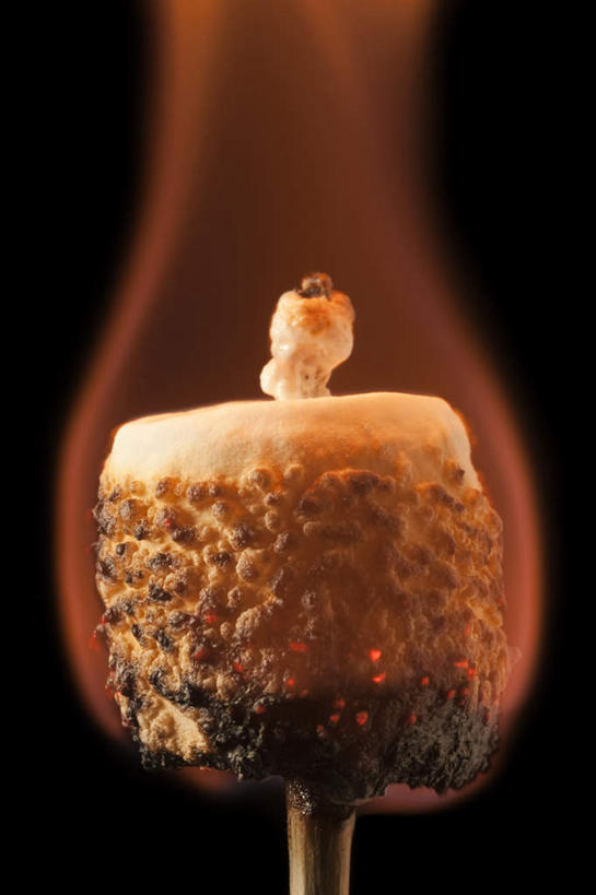 无人,竖图,室内,特写,白天,正面,热情,植物,火,阴影,黑色背景,反射,火焰,影子,草药,药草,燃烧,中药,一个,橙色,摄影,影棚,单个,止咳,药材,中草药,药蜀葵,中药材,本草,解毒,利尿,消炎,彩图,影棚拍摄,拍摄,散寒