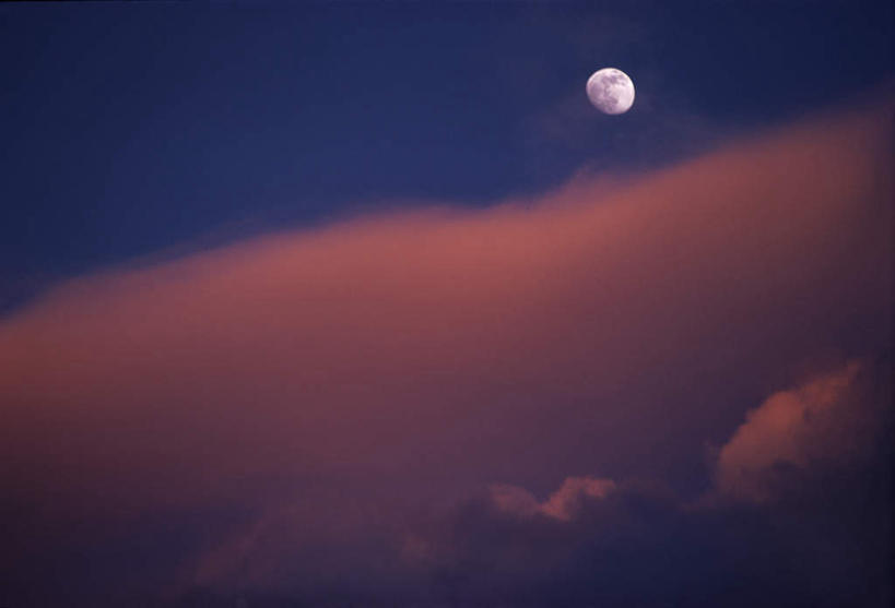 无人,横图,室外,白天,仰视,美景,平静,景观,月亮,云,云朵,月光,云彩,蓝色,白色,蓝天,天空,自然,天,景色,安静,宁静,明亮,静谧,自然风光,镇静,皎洁,冷静,沉静,恬静,安祥,僻静,清静,太平,彩图,低角度拍摄