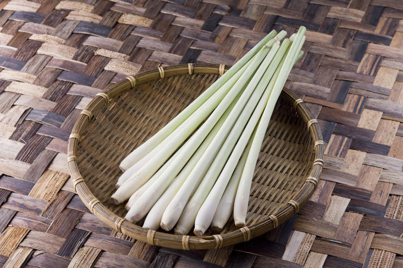 无人,横图,俯视,室内,特写,白天,餐桌,桌子,蔬菜,一堆,许多,堆叠,堆积,新鲜,篮子,茭白,食品,食物,有机食品,绿色食品,餐台,堆,茭瓜,出隧,高笋,菰菜,菰蒋子,菰手,菰首,菰笋,茭粑,茭耳菜,茭首,茭笋,绿节,彩图,高角度拍摄