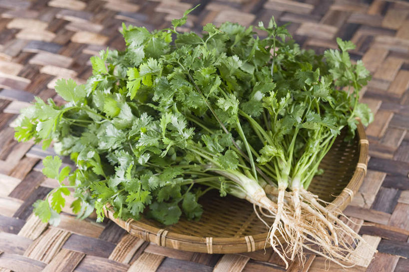 无人,交叉,横图,俯视,室内,特写,白天,烹饪,竹子,竹制,编织,篮子,香菜,日本料理,料理,食品,菜肴,美食,食物,竹篮,垫子,日式料理,日式,摄影,佳肴,影棚,竹条,交织,竹制品,胡菜,香荽,原荽,园荽,芫荽,穿插,彩图,高角度拍摄,影棚拍摄,拍摄