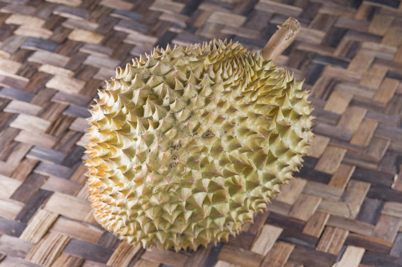 无人,横图,俯视,室内,特写,白天,餐桌,桌子,水果,榴莲,一个,摄影,有机食品,绿色食品,影棚,单个,餐台,麝香猫果,水果之王,彩图,高角度拍摄,影棚拍摄,拍摄