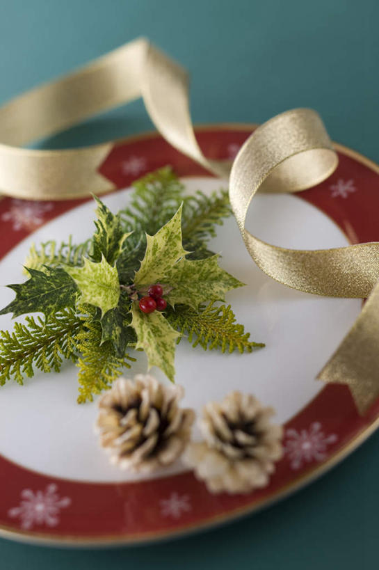 无人,竖图,俯视,室内,特写,白天,餐具,叶子,绿色背景,朦胧,模糊,碟子,盘,坚果,果实,绿叶,松果,缎带,白色,盘子,碟,干果,嫩叶,摄影,冬青,影棚,希望,生命,松塔,槲寄生,冻青,丰饶,叶,叶片,彩图,高角度拍摄,影棚拍摄,拍摄