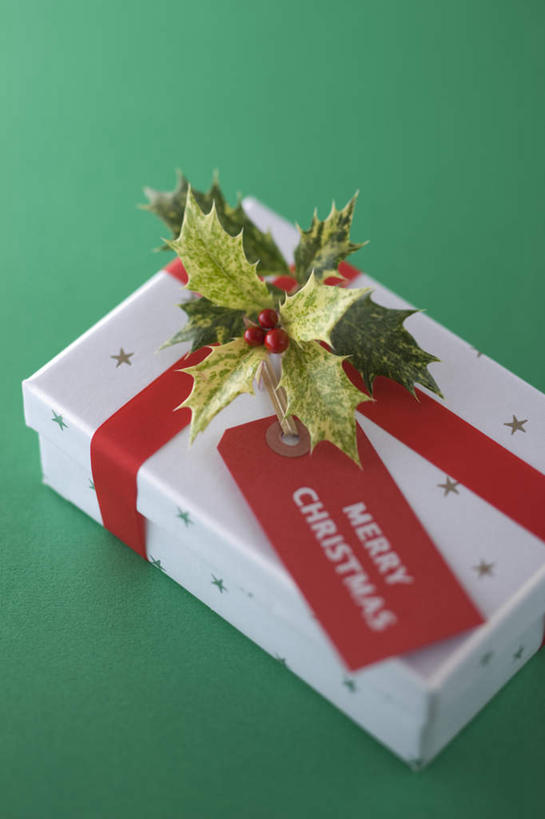 无人,竖图,俯视,室内,白天,礼盒,礼物,叶子,圣诞节,灰色背景,节日,庆祝,纸盒,绿叶,缎带,文化,盒子,红色,白色,包装盒,蝴蝶结,卡片,礼品盒,庆典,嫩叶,一盒,摄影,礼品,影棚,纪念,叶,叶片,彩图,高角度拍摄,影棚拍摄,拍摄