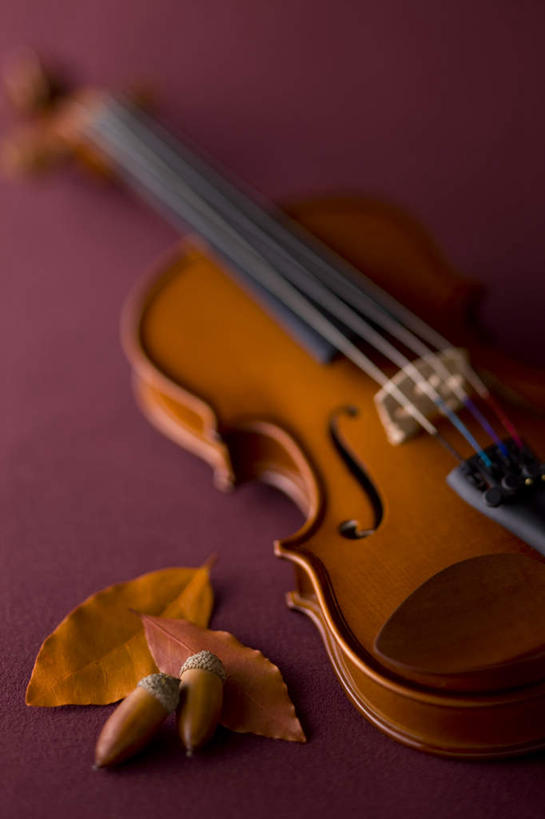无人,竖图,俯视,室内,特写,白天,秋季,桌面,桌子,叶子,一把,许多,朦胧,模糊,散落,果子,枯叶,落叶,乐器,弦乐器,小提琴,树叶,一个,单个,弓拉弦乐器,弓拉弦鸣乐器,橡果,叶,叶片,秋,秋天,彩图,高角度拍摄