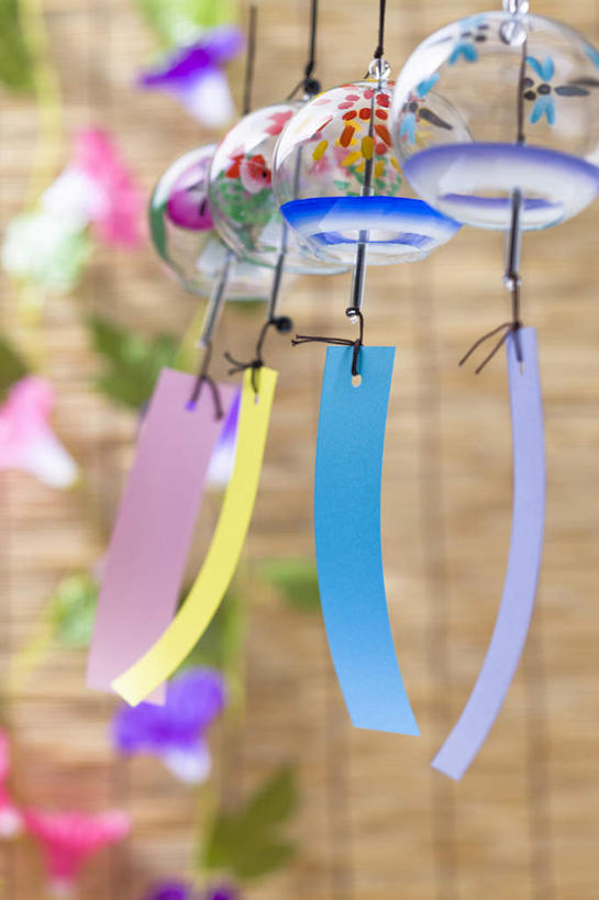 无人,竖图,室内,特写,白天,正面,爱情,喇叭花,风铃,朦胧,模糊,日本文化,盛开,花蕾,文化,花,花瓣,花朵,鲜花,夏天,花苞,花蕊,虚幻,东亚文化,永恒,牵牛,牵牛子,勤娘子,碧冬茄,朝颜花,灵芝牡丹,冷静,牵牛花,占风铎,彩图,传统文化