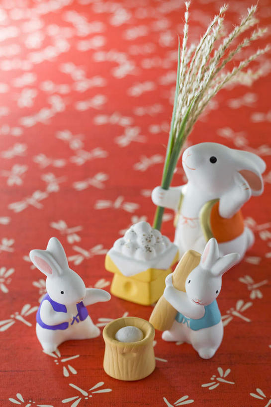 无人,竖图,俯视,室内,白天,游戏,玩具,中秋节,红色背景,花纹,朦胧,模糊,日本文化,兔子,图案,谷物,年糕,玩,文化,娱乐,休闲,稻谷,益智,摄影,影棚,活动,五谷,发泄,消遣,智力,东亚文化,团圆,中秋,宣泄,抬头,玩耍,嬉戏,仰头,彩图,高角度拍摄,全身,影棚拍摄,拍摄,传统文化