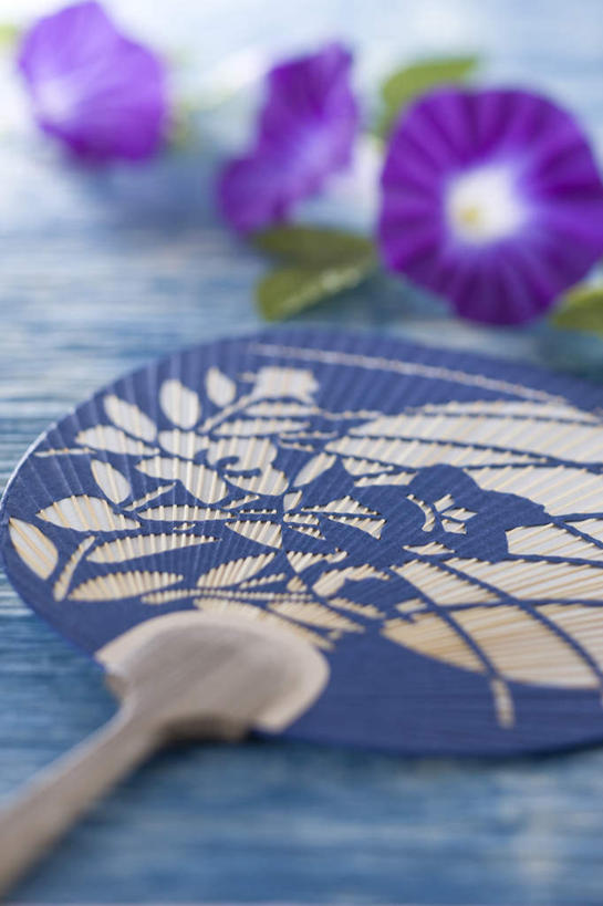 无人,竖图,俯视,室内,特写,白天,爱情,风,喇叭花,叶子,三朵,一把,蓝色背景,朦胧,模糊,盛开,扇子,绿叶,清凉,花蕾,花,花瓣,花朵,鲜花,夏天,花苞,花蕊,嫩叶,摄影,影棚,虚幻,永恒,牵牛,牵牛子,勤娘子,碧冬茄,朝颜花,灵芝牡丹,冷静,牵牛花,叶,叶片,彩图,高角度拍摄,影棚拍摄,拍摄