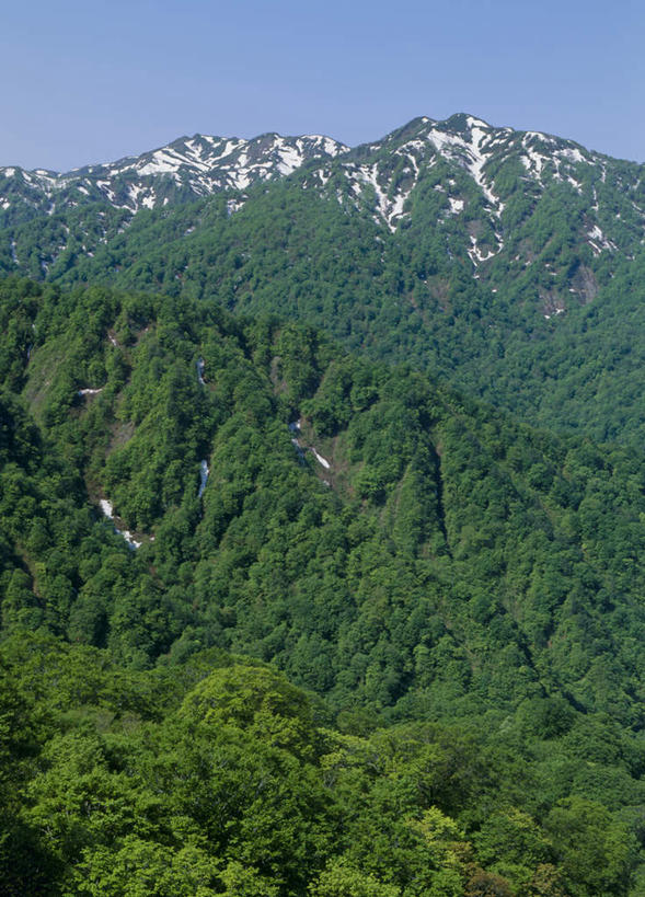 无人,竖图,俯视,航拍,室外,白天,旅游,度假,美景,山,山脉,树林,植物,日本,亚洲,阴影,光线,影子,景观,山峰,山峦,娱乐,树,树木,蓝色,绿色,蓝天,天空,阳光,自然,群山,天,享受,休闲,景色,放松,生长,成长,鸟瞰,自然风光,东亚,本州,本州岛,日本国,青森,青森县,东北地方,白神山地,彩图,高角度拍摄