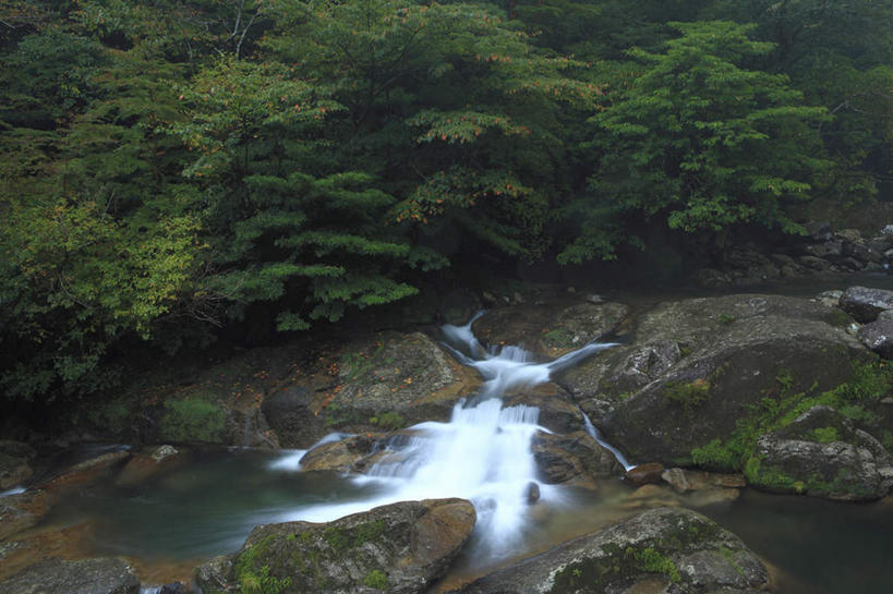 无人,横图,俯视,室外,白天,旅游,度假,河流,石头,美景,山,山脉,树林,水,植物,鹿儿岛,日本,亚洲,石子,河水,景观,山峰,水流,山峦,娱乐,树,树木,蓝色,绿色,蓝天,天空,自然,群山,天,享受,休闲,景色,放松,生长,成长,自然风光,东亚,日本国,九州本岛,九州,九州岛,九州地方,鹿儿岛县,屋久岛,石块,岩石,彩图,高角度拍摄