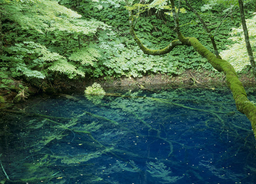 无人,横图,俯视,室外,白天,旅游,度假,湖,湖泊,美景,树林,水,植物,日本,亚洲,阴影,光线,影子,湖面,景观,水流,水面,娱乐,树,树木,蓝色,绿色,阳光,自然,湖水,享受,休闲,景色,放松,生长,成长,自然风光,东亚,本州,本州岛,日本国,青森,青森县,东北地方,白神山地,彩图,高角度拍摄
