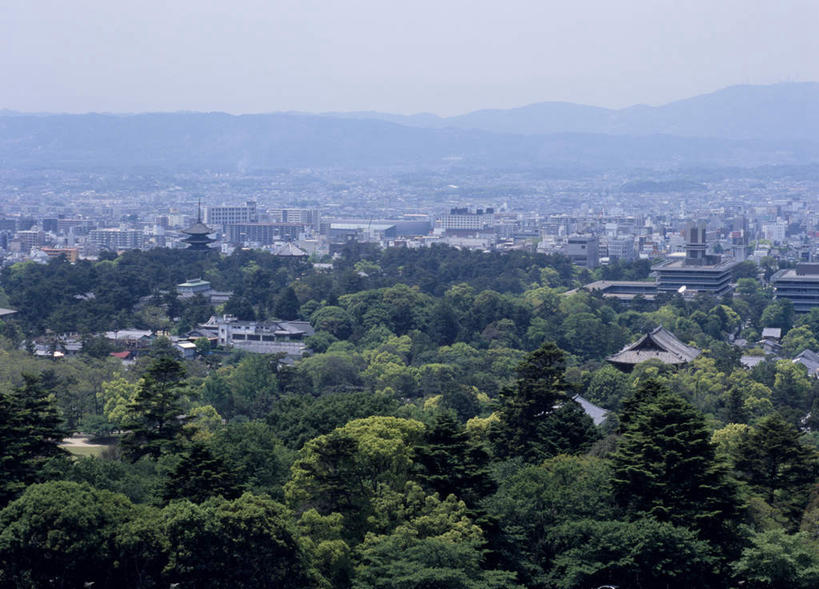 无人,公园,家,横图,俯视,航拍,室外,白天,旅游,度假,美景,山,树林,植物,奈良县,日本,亚洲,许多,房屋,屋子,景观,山峰,山峦,娱乐,楼房,住宅,树,树木,排列,绿色,自然,享受,休闲,景色,放松,生长,成长,鸟瞰,队列,自然风光,东亚,本州,本州岛,日本国,近畿地方,奈良,近畿,奈良公园,彩图,高角度拍摄,房子