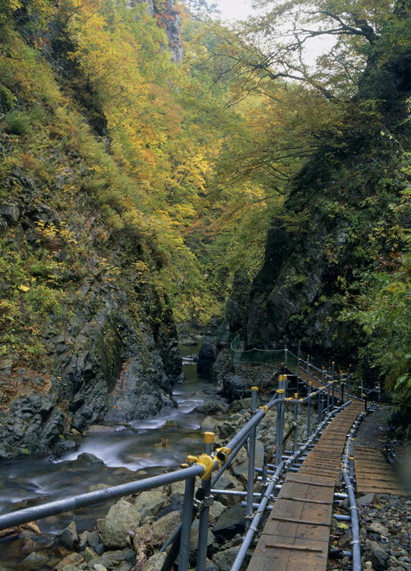 无人,栏杆,竖图,室外,白天,正面,旅游,度假,河流,美景,山,水,植物,日本,亚洲,阴影,光线,木板,影子,栅栏,河水,景观,篱笆,山峰,水流,围栏,桥,木桥,山峦,娱乐,护栏,栈桥,树,树木,绿色,天空,小溪,阳光,自然,天,溪水,享受,休闲,景色,放松,生长,成长,人行桥,木板桥,自然风光,东亚,本州,本州岛,日本国,青森,青森县,东北地方,白神山地,彩图