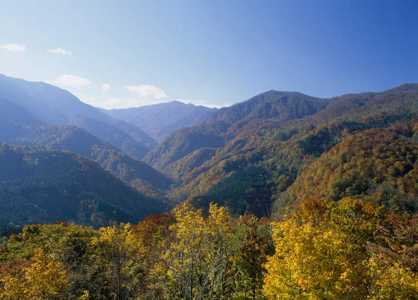 无人,横图,室外,白天,正面,旅游,度假,美景,秋季,山,山脉,树林,植物,叶子,日本,亚洲,许多,阴影,光线,影子,景观,山峰,云,云朵,山峦,云彩,娱乐,树,树木,蓝色,绿色,白云,蓝天,天空,阳光,自然,群山,天,享受,休闲,景色,放松,生长,成长,自然风光,东亚,本州,本州岛,日本国,青森,青森县,东北地方,白神山地,叶,叶片,秋,秋天,彩图