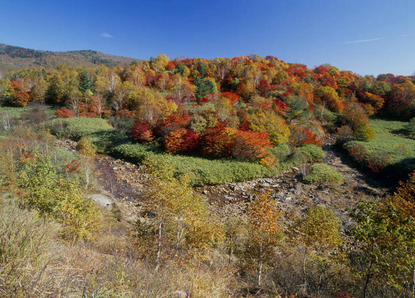 无人,横图,室外,白天,正面,旅游,度假,石头,美景,森林,山,山脉,树林,植物,日本,亚洲,阴影,光线,石子,影子,景观,山顶,山峰,山峦,娱乐,树,树木,蓝色,绿色,蓝天,天空,阳光,自然,群山,天,享受,休闲,景色,放松,生长,晴朗,成长,自然风光,东亚,沉积岩,本州,万里无云,本州岛,日本国,岩手,岩手县,东北地方,八幡平市,颠峰,极峰,水成岩,石块,岩石,晴空,晴空万里,彩图