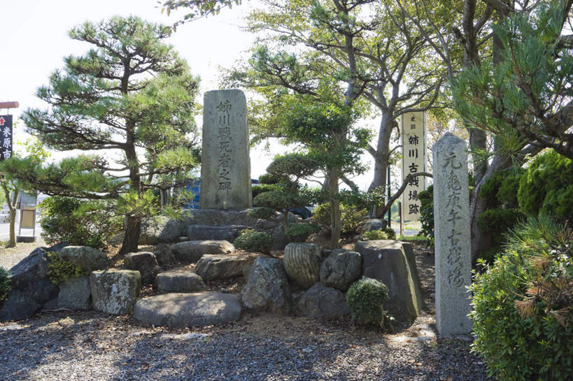 无人,横图,室外,白天,正面,旅游,度假,石头,树林,植物,日本,亚洲,阴影,光线,日文,标志,雕刻,石子,文字,影子,字符,字母,纪念碑,娱乐,标识,树,树木,绿色,天空,阳光,自然,石碑,天,享受,休闲,放松,碑文,生长,成长,东亚,本州,本州岛,日本国,近畿地方,近畿,滋贺,滋贺县,石块,岩石,彩图