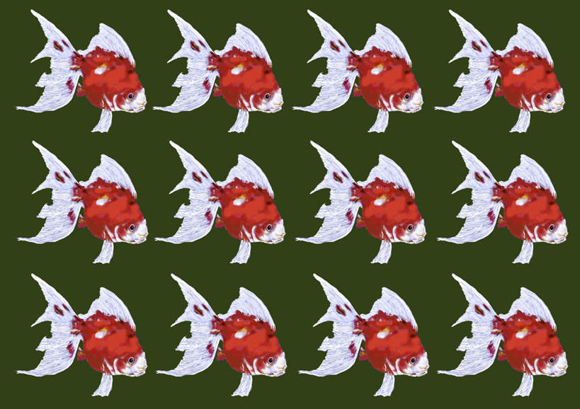 无人,横图,插画,室内,白天,正面,数码,科技,一排,许多,绿色背景,阴影,整齐,网络,金鱼,鱼,高光,几何,计算机图形,合成,图画,鱼类,画,排列,红色,电脑合成图,数码合成图,队列,漫画,写实,具体,具象,观赏鱼,金鲫鱼,彩图