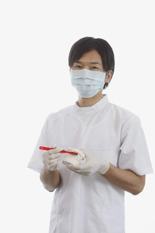 东方人,一个人,医生,竖图,室内,白天,白色背景,正面,亚洲,仅一个男性,仅一个人,握,牙刷,拿,拿着,黄种人,仅一个年轻男性,口罩,模型,手套,医护人员,医疗人员,握着,摄影,影棚,模具,白大褂,假牙,橡胶手套,医用手套,男人,男性,年轻男性,亚洲人,大夫,半身,彩图,影棚拍摄,拍摄