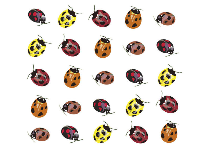 无人,横图,彩色,插画,室内,白天,白色背景,正面,数码,科技,野生动物,瓢虫,一排,一群,许多,阴影,整齐,网络,斑点,甲壳虫,高光,几何,计算机图形,合成,画,排列,爬行,动物,爬,可爱,活泼,电脑合成图,数码合成图,队列,七星瓢虫,彩图