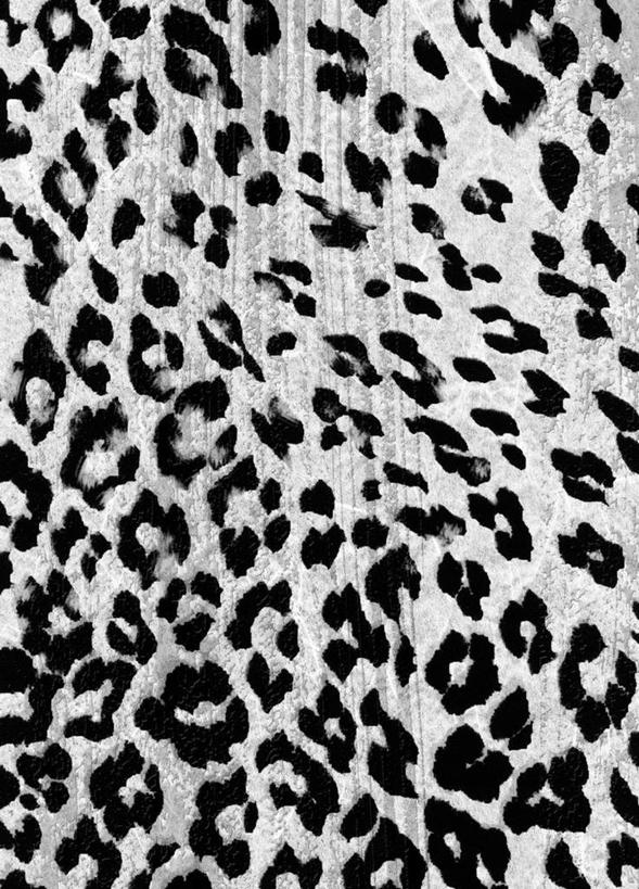 无人,竖图,插画,室内,白天,正面,数码,科技,阴影,网络,纹理,斑点,高光,几何,计算机图形,合成,图画,画,白色,黑色,灰色,电脑合成图,数码合成图,美洲豹,斑纹,漫画,写实,具体,具象,豹,彩图