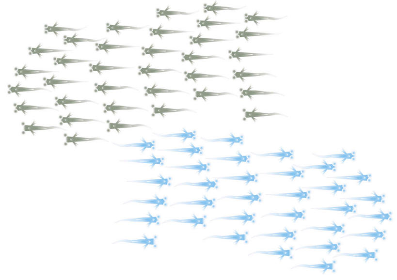 游泳,无人,横图,插画,室内,白天,白色背景,正面,数码,科技,野生动物,阴影,整齐,网络,鱼,高光,几何,计算机图形,合成,图画,鱼类,画,排列,蓝色,动物,可爱,活泼,游动,电脑合成图,数码合成图,队列,漫画,写实,具体,具象,鳉鱼,鳉,彩图