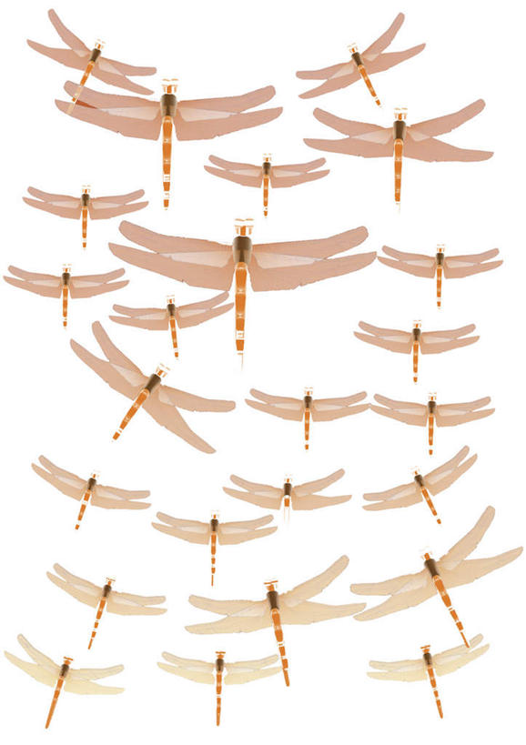无人,竖图,插画,室内,白天,白色背景,正面,数码,科技,野生动物,一群,许多,飞翔,展翅,阴影,网络,蜻蜓,昆虫,褐色,成群,高光,几何,计算机图形,合成,图画,飞,画,动物,可爱,活泼,电脑合成图,数码合成图,漫画,写实,具体,具象,彩图