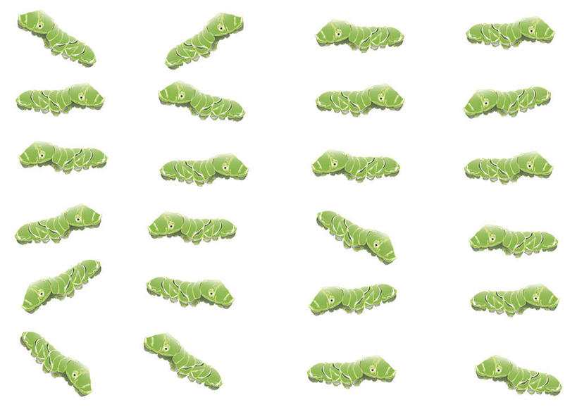无人,横图,插画,室内,白天,白色背景,正面,数码,科技,野生动物,一排,一群,许多,阴影,整齐,网络,高光,几何,计算机图形,合成,图画,画,排列,绿色,动物,爬,可爱,毛毛虫,活泼,电脑合成图,数码合成图,队列,漫画,写实,具体,具象,彩图