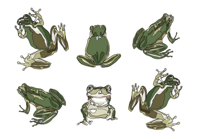 无人,跳,横图,插画,室内,白天,白色背景,正面,数码,科技,青蛙,野生动物,一排,一群,许多,阴影,整齐,网络,蛙,高光,几何,计算机图形,合成,图画,画,排列,绿色,动物,可爱,活泼,电脑合成图,数码合成图,队列,漫画,写实,具体,具象,蛤蟆,跳跃,彩图