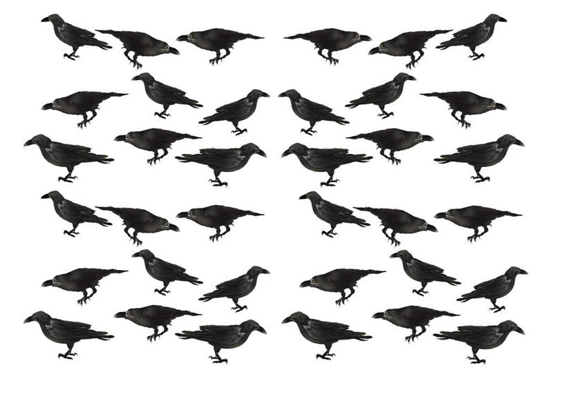无人,站,横图,插画,室内,白天,白色背景,正面,数码,科技,鸟,野生动物,一排,许多,阴影,整齐,网络,鸟类,成群,高光,几何,计算机图形,合成,图画,画,排列,黑色,动物,站着,可爱,活泼,乌鸦,电脑合成图,数码合成图,队列,漫画,写实,具体,具象,站立,彩图