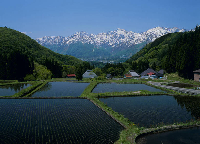 无人,家,农田,横图,室外,白天,正面,旅游,度假,农业,庄稼,农作物,石头,美景,山,雪,雪山,大雪,长野县,日本,亚洲,阴影,光线,石子,影子,房屋,屋子,冰,稻田,积雪,景观,山顶,山峰,雪景,冬季,冬天,山峦,娱乐,楼房,住宅,蓝色,蓝天,天空,阳光,自然,天,享受,休闲,景色,放松,寒冷,晴朗,冰冷,自然风光,东亚,沉积岩,本州,万里无云,本州岛,日本国,中部地方,长野,严寒,冰凉,酷寒,凛冽,凛凛,极冷,颠峰,极峰,水成岩,北安,北安昙郡,石块,岩石,晴空,晴空万里,彩图,耕地,庄稼田,房子,白马村