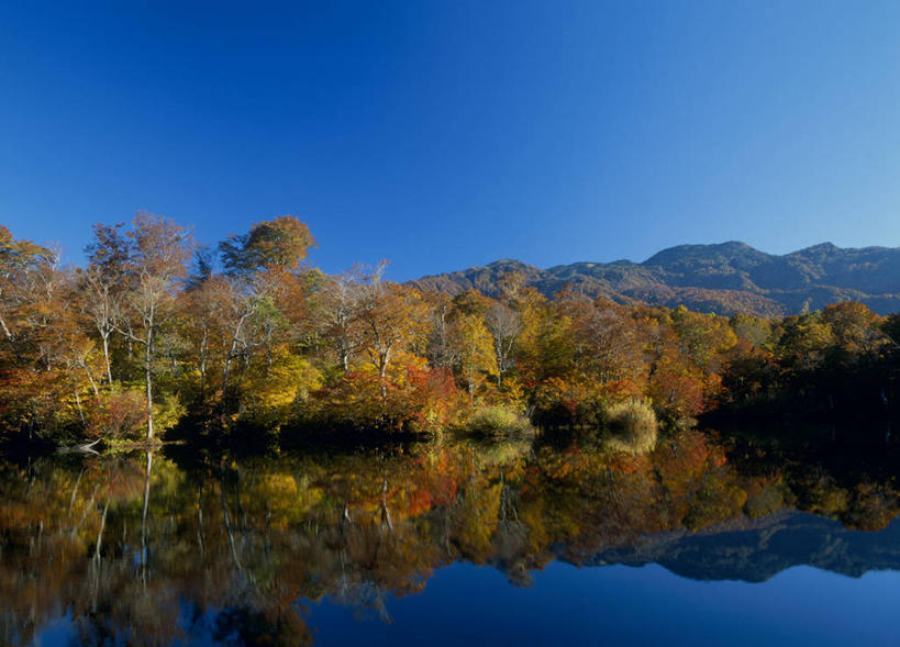 无人,横图,室外,白天,正面,旅游,度假,湖,湖泊,石头,美景,秋季,森林,山,山脉,树林,水,植物,长野县,日本,亚洲,阴影,光线,石子,影子,湖面,景观,山顶,山峰,水流,水面,山峦,娱乐,树,树木,蓝色,绿色,倒影,蓝天,天空,阳光,自然,湖水,群山,天,享受,休闲,景色,放松,生长,晴朗,成长,倒映,自然风光,东亚,沉积岩,本州,万里无云,本州岛,日本国,中部地方,长野,颠峰,极峰,反照,水成岩,北安,北安昙郡,石块,岩石,晴空,晴空万里,秋,秋天,彩图,小谷村