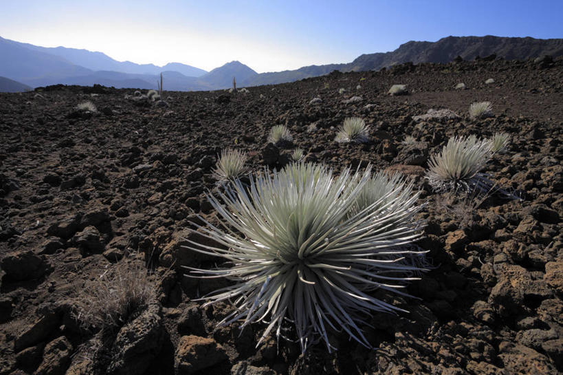 无人,公园,横图,室外,白天,正面,旅游,度假,岛屿,石头,美景,山,山脉,植物,夏威夷,美国,阴影,光线,石子,影子,景观,山峰,山峦,娱乐,蓝色,绿色,蓝天,天空,阳光,自然,群山,天,享受,休闲,景色,放松,生长,晴朗,成长,北美,北美洲,国家公园,自然风光,美洲,万里无云,夏威夷州,爱洛哈之州,北亚美利加洲,亚美利加洲,哈雷阿卡拉国家公园,列岛,群岛,石块,岩石,诸岛,晴空,晴空万里,彩图,毛伊岛,茂伊岛,茂宜岛,山谷之岛