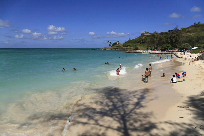 西方人,站,坐,横图,室外,白天,正面,旅游,度假,草地,草坪,岛屿,海浪,海洋,美景,沙滩,植物,夏威夷,欧洲,美国,欧洲人,行人,游客,游人,阴影,服装,光线,沙子,影子,海岸,景观,浪花,水平线,云,云朵,辽阔,海平线,沙地,许多人,云彩,休闲装,娱乐,路人,旅客,草,树,树木,衣服,蓝色,绿色,白云,蓝天,天空,阳光,自然,海水,天,站着,一群人,享受,休闲,广阔,休闲服,景色,放松,服饰,生长,晴朗,成长,一望无际,北美,北美洲,自然风光,美洲,海景,瓦胡岛,欧胡岛,欧湖岛,夏威夷州,爱洛哈之州,北亚美利加洲,亚美利加洲,聚集之岛,无边无际,一马平川,过客,男人,男性,年轻男性,年轻女性,女人,女性,白种人,大海,风浪,海,海水的波动,海滩,近岸浪,列岛,群岛,涌浪,诸岛,晴空,站立,坐着,彩图,全身,凯卢阿,水天相接,水天一线