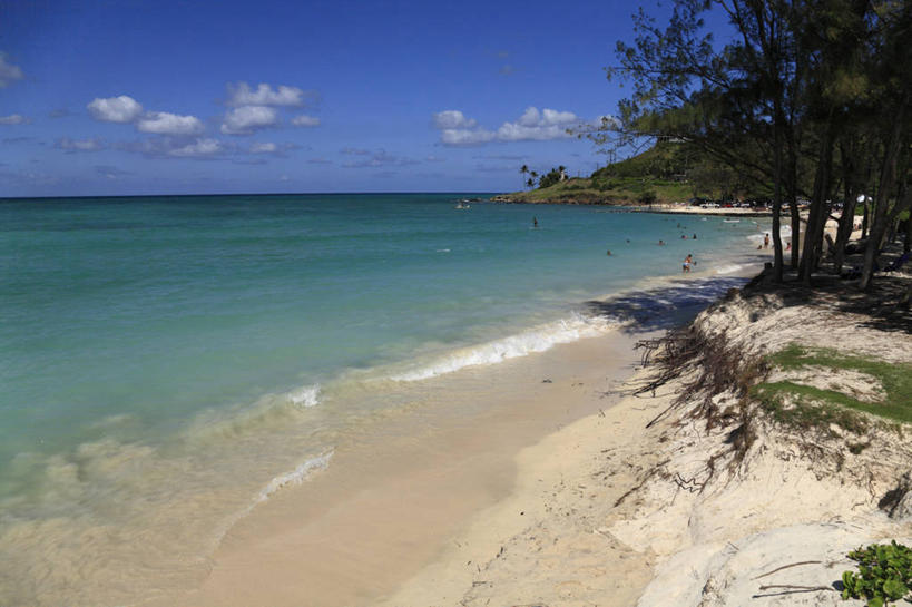 无人,横图,室外,白天,正面,旅游,度假,岛屿,海浪,海洋,美景,沙滩,植物,夏威夷,美国,阴影,光线,沙子,影子,海岸,景观,浪花,水平线,云,云朵,辽阔,海平线,沙地,云彩,娱乐,树,树木,蓝色,绿色,白云,蓝天,天空,阳光,自然,海水,天,享受,休闲,广阔,景色,放松,生长,晴朗,成长,一望无际,北美,北美洲,自然风光,美洲,海景,瓦胡岛,欧胡岛,欧湖岛,夏威夷州,爱洛哈之州,北亚美利加洲,亚美利加洲,聚集之岛,无边无际,一马平川,大海,风浪,海,海水的波动,海滩,近岸浪,列岛,群岛,涌浪,诸岛,晴空,彩图,凯卢阿,水天相接,水天一线