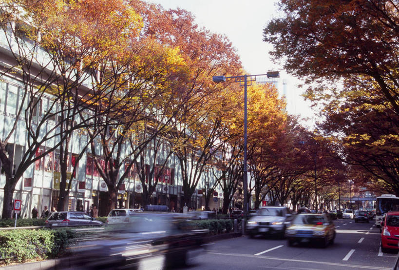 无人,高楼大厦,横图,室外,白天,仰视,度假,美景,秋季,植物,城市风光,城市,大厦,道路,建筑,路,路灯,摩天大楼,公路,汽车,叶子,照明,东京,日本,亚洲,朦胧,模糊,景观,灯光,分界线,枯叶,落叶,停车线,交通,娱乐,建设,车,灯,树,树木,绿色,天空,自然,交通工具,轿车,天,享受,休闲,景色,放松,生长,成长,车行道,车行道分界线,照亮,照明设备,载具,标线,东亚,车行线,本州,关东地方,本州岛,日本国,东京都,涩谷区,原宿,表参道,叶,叶片,秋,秋天,马路,彩图,低角度拍摄,大楼,高层建筑,高楼,摩天楼