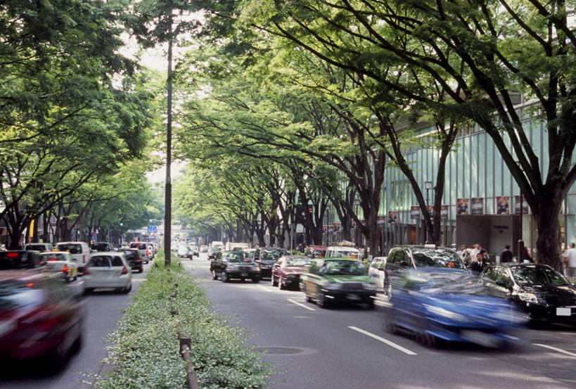 无人,横图,室外,白天,正面,度假,美景,植物,城市风光,城市,道路,路,公路,汽车,东京,日本,亚洲,朦胧,模糊,景观,分界线,停车线,交通,娱乐,车,树,树木,绿色,自然,交通工具,轿车,驾驶,行驶,享受,休闲,景色,放松,生长,成长,车行道,车行道分界线,操纵,控制,载具,标线,东亚,操控,车行线,本州,关东地方,本州岛,日本国,东京都,把持,涩谷区,原宿,表参道,马路,彩图