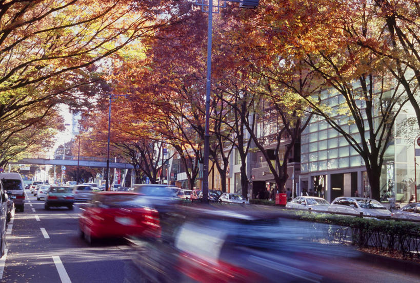 无人,高楼大厦,横图,室外,白天,正面,度假,美景,秋季,植物,城市风光,城市,大厦,道路,建筑,路,摩天大楼,公路,汽车,叶子,东京,日本,亚洲,阴影,朦胧,模糊,光线,影子,景观,分界线,枯叶,落叶,停车线,交通,娱乐,建设,车,树,树木,绿色,阳光,自然,交通工具,轿车,驾驶,行驶,享受,休闲,景色,放松,生长,成长,车行道,车行道分界线,操纵,控制,载具,标线,东亚,操控,车行线,本州,关东地方,本州岛,日本国,东京都,把持,涩谷区,原宿,表参道,叶,叶片,秋,秋天,马路,彩图,大楼,高层建筑,高楼,摩天楼