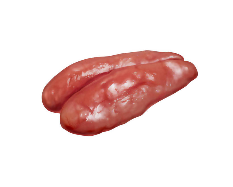 无人,横图,室内,特写,白天,白色背景,正面,数码,科技,一堆,许多,阴影,堆叠,堆积,网络,鱼卵,很多,高光,几何,计算机图形,合成,鱼籽,红色,堆,电脑合成图,数码合成图,合成图,写实,具体,具象,彩图,鳕鱼子