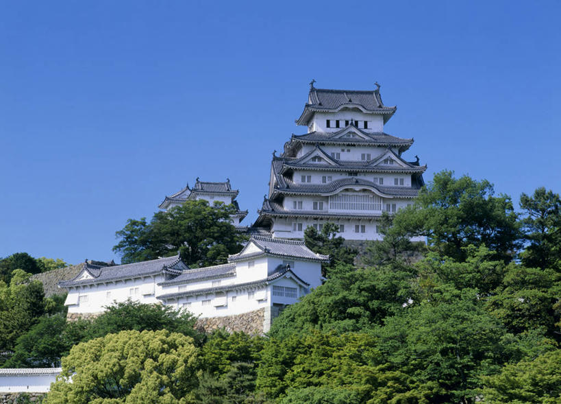 无人,横图,室外,白天,仰视,旅游,度假,名胜古迹,植物,标志建筑,地标,建筑,日本,亚洲,阴影,遗迹,光线,影子,堡垒,城堡,古迹,文物,娱乐,建设,古建筑,树,树木,蓝色,绿色,蓝天,天空,阳光,自然,天,享受,休闲,旅游胜地,放松,生长,晴朗,成长,要塞,古文明,东亚,本州,世界文化遗产,万里无云,本州岛,日本国,近畿地方,姬路城,近畿,兵库,兵库县,白鹭城,姬路,姬路市,设防,晴空,晴空万里,彩图,低角度拍摄