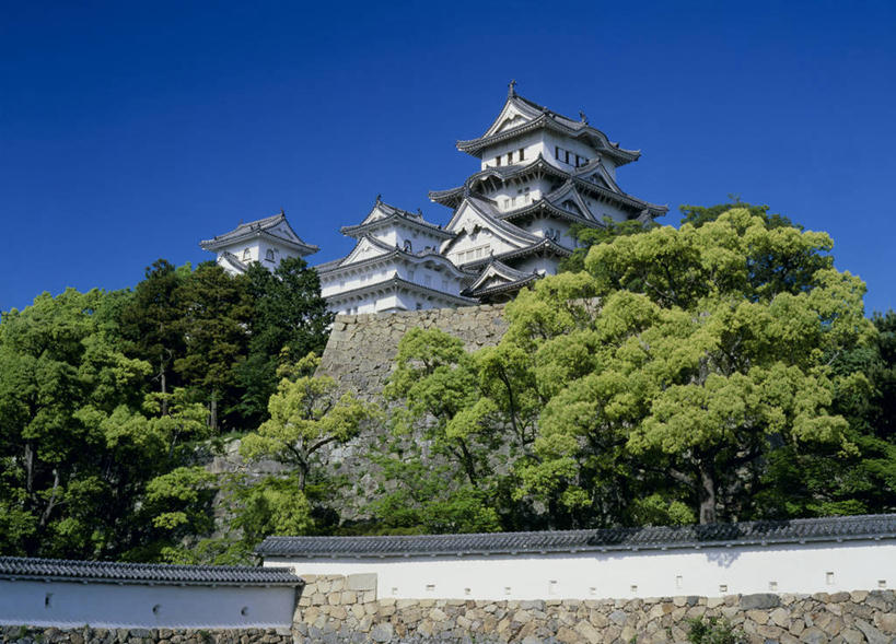 无人,横图,室外,白天,仰视,旅游,度假,名胜古迹,植物,标志建筑,地标,建筑,日本,亚洲,阴影,遗迹,光线,影子,堡垒,城堡,古迹,文物,娱乐,建设,古建筑,树,树木,蓝色,绿色,蓝天,天空,阳光,自然,天,享受,休闲,旅游胜地,放松,生长,晴朗,成长,要塞,古文明,东亚,本州,世界文化遗产,万里无云,本州岛,日本国,近畿地方,姬路城,近畿,兵库,兵库县,白鹭城,姬路,姬路市,设防,晴空,晴空万里,彩图,低角度拍摄