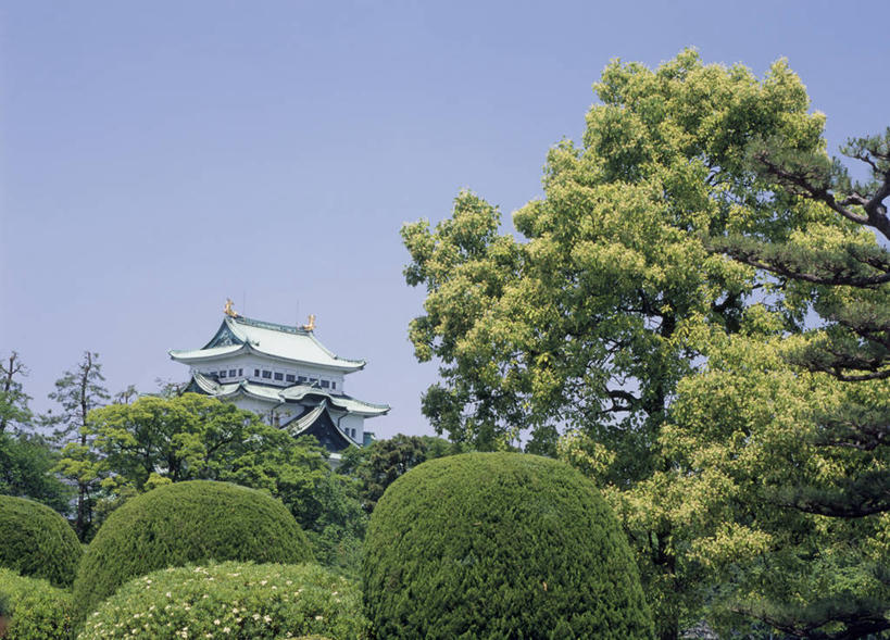 无人,横图,室外,白天,仰视,旅游,度假,名胜古迹,植物,标志建筑,地标,建筑,爱知县,名古屋,日本,亚洲,阴影,遗迹,光线,影子,堡垒,城堡,古迹,文物,娱乐,建设,古建筑,树,树木,蓝色,绿色,蓝天,天空,阳光,自然,天,享受,休闲,旅游胜地,放松,生长,晴朗,成长,要塞,古文明,东亚,本州,万里无云,本州岛,日本国,中部地方,爱知,县厅,名古屋市,设防,晴空,晴空万里,彩图,低角度拍摄,名古屋城