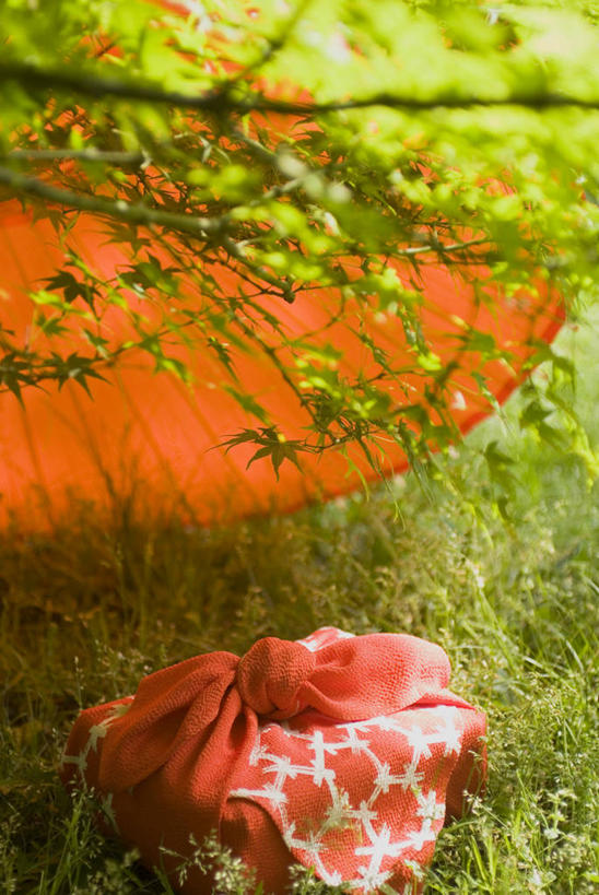 无人,竖图,俯视,室外,特写,白天,幸福,草地,草坪,美景,植物,京都,日本,亚洲,一把,阴影,花纹,朦胧,模糊,日本文化,光线,布,伞,图案,影子,雨伞,纸伞,景观,古典,布纹,油纸伞,文化,草,树,树木,一个,红色,绿色,阳光,自然,景色,京都府,生长,单个,成长,纪念,布匹,吉祥,自然风光,古朴,东亚,本州,本州岛,日本国,近畿地方,近畿,风吕敷,包袱布,平安,彩图,高角度拍摄