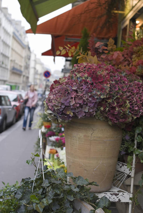 西方人,一个人,花店,家,商店,走,竖图,室外,白天,正面,度假,美景,城市风光,城市,道路,路,公路,汽车,刺绣,法国,巴黎,欧洲,欧洲人,仅一个年轻女性,仅一个女性,仅一个人,阴影,服装,朦胧,模糊,艺术,盛开,光线,影子,手工艺品,房屋,屋子,景观,公寓,交通,首都,花蕾,休闲装,文化,娱乐,商铺,洋房,楼房,住宅,车,花,花瓣,花朵,鲜花,衣服,阳光,工艺品,交通工具,轿车,花苞,花蕊,享受,休闲,休闲服,景色,放松,服饰,高雅,载具,法兰西共和国,自信心,品位,法兰西第五共和国,市肆,商号,绣球,年轻女性,女人,女性,白种人,马路,步行,散步,走路,彩图,全身,房子,店铺,女红,针绣,针黹,黹,彩绣