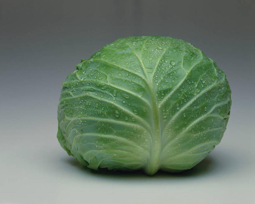 无人,横图,俯视,室内,特写,白天,水,蔬菜,椰菜,卷心菜,阴影,灰色背景,新鲜,反射,液体,影子,水滴,食品,食物,一个,甘蓝,摄影,有机食品,绿色食品,影棚,单个,甘蓝菜,结球甘蓝,甘兰,包心菜,彩图,高角度拍摄,影棚拍摄,拍摄,圆白菜